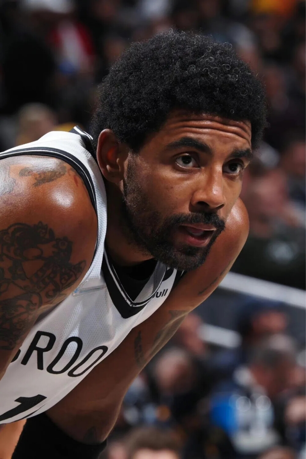 格拉齐亚尼：挪威比意大利更强，如果有哈兰德也许我们能赢（格拉齐亚尼：挪威实力胜过意大利，若有哈兰德我们或许能赢）